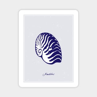 Nautilus Tiger Shell. Blue realistic sea life drawings. Magnet