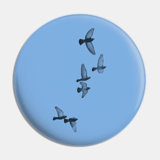 flying birds Pin