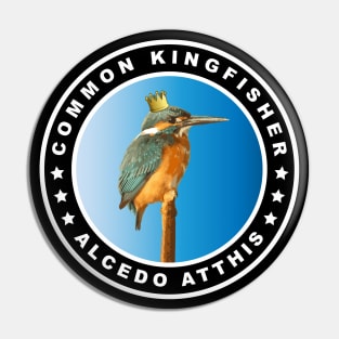 Hungry Common Kingfisher (Alcedo Atthis) Bird Pin