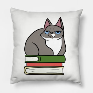 Grumpy Book Cat Pillow