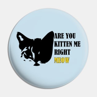 Are You Kitten Me Right Meow Pin