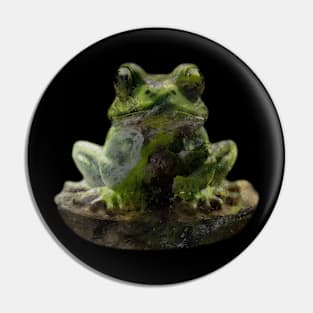 Cool stream froggy Pin