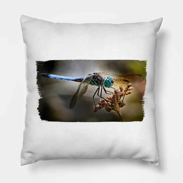 Blue Dasher Dragonfly Pillow by SandroAbate