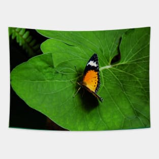 Buttlerfly on Leaf Tapestry