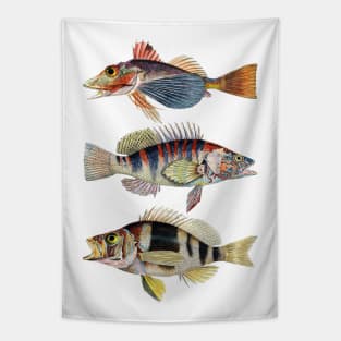 Musical Fish In Harmony Tapestry