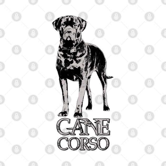 Cane Corso - Italian Mastiff by Nartissima