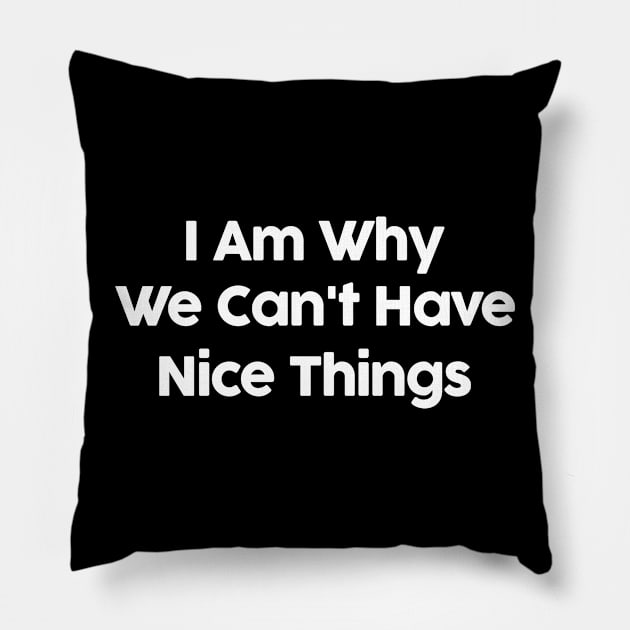 I Am Why We Can't Have Nice Things Funny Pillow by solsateez