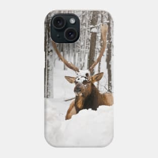 Red Deer In Snow Phone Case