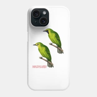 Lesser Green Leafbird | Chloropsis cyanopogon ⚥ Phone Case