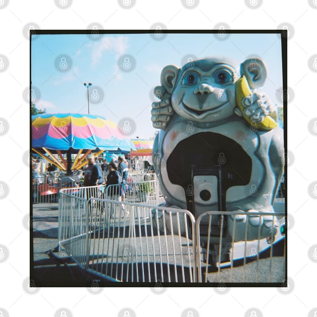 Monkey Ride - Minnesota State Fair - Diana 120mm Photograph by ztrnorge