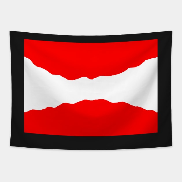 Curving Austrian Flag Tapestry by Student-Made