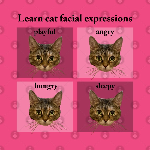 Learn cat facial expressions by chrissturgessart