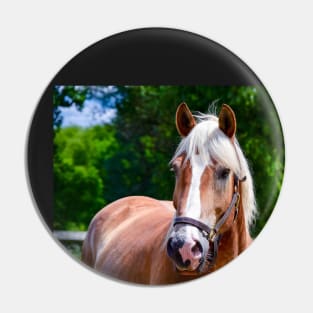 Horse Portrait Pin