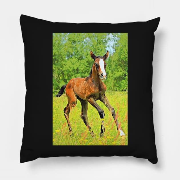 Horses Dogs Cats Pets & Farm animals 201 2020 Pillow by hispanicworld