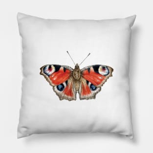 Beautiful Peacock Butterfly Pillow