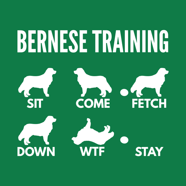 Bernese Training Bernese Dog Tricks by DoggyStyles