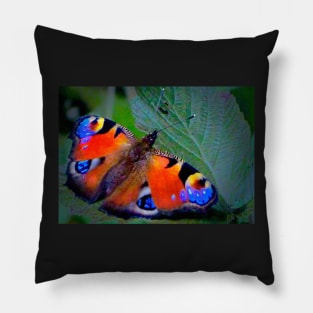 MR PAINTED PEACOCK Pillow