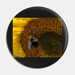 Bumble Bee Pin