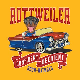 Humor funny and cute rottie driving a classic vintage car with red white and blue flags tee T-Shirt