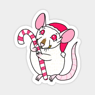 Candy Cane Cuddle (Full Color Version) Magnet