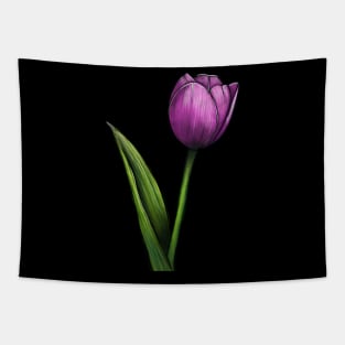 Tulip Tapestry