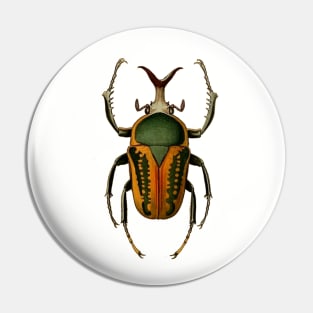 Insect life Pin