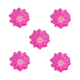 pink flower T-Shirt