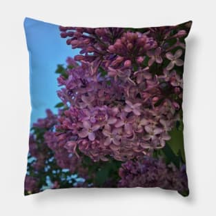 Blooming Purple Flowers Pillow