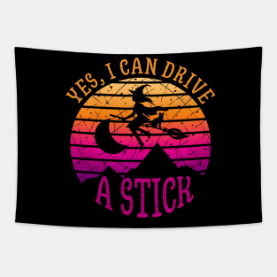 Why Yes, I can Drive A Stick witch and cat Tapestry