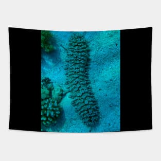 Sea cucumber Tapestry