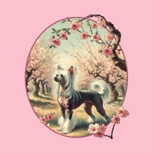 Chinese Crested T-Shirt