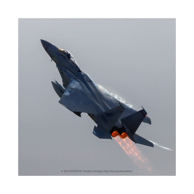 F-15C Afterburner & Vapor climb at dusk by acefox1