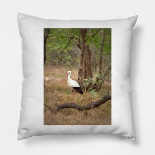 White stork Pillow