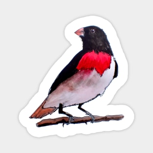 Rose Breasted Grosbeak Bird Magnet