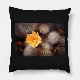 Prickle Queen Pillow