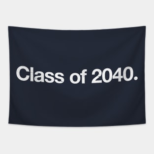 Class of 2040. Tapestry