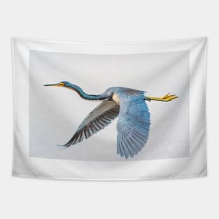 Tri colored heron Tapestry