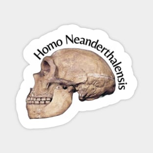 Homo Neanderthalensis Skull Magnet