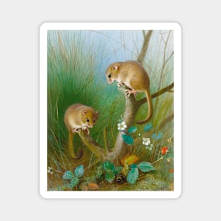 Dormice Archibald Thorburn Magnet