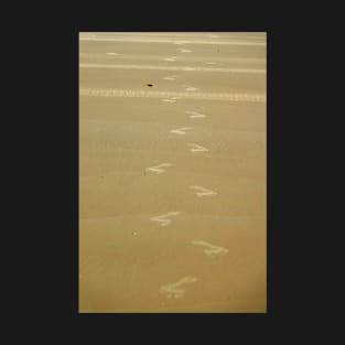 Footprints in the sand T-Shirt