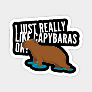 I just really like capybaras ok! Magnet