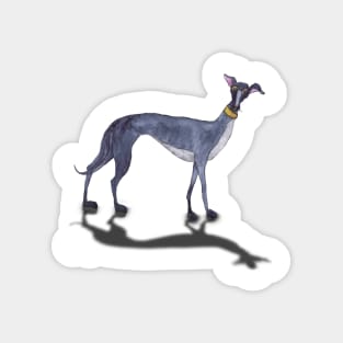 GREYHOUND Magnet