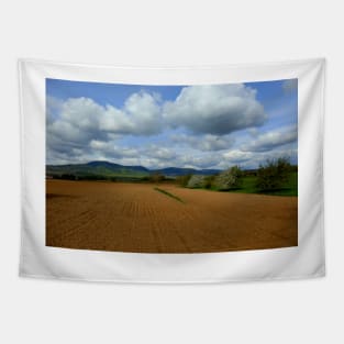 Rural scenery Tapestry