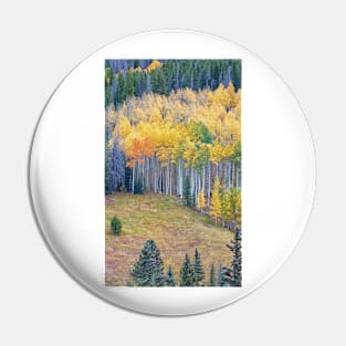 Colors of Fall Pin