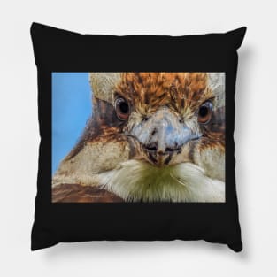 Australian Laughing Kookaburra close up Pillow