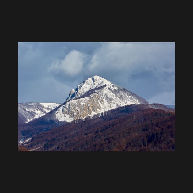 Mountain peak in the winter by naturalis