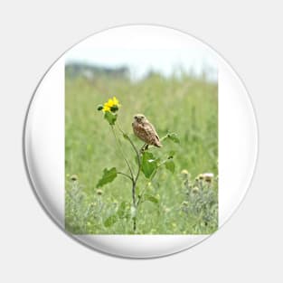 Burrowing Owl Pin