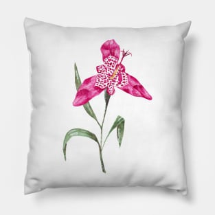 Tiger lily Pillow