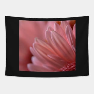 Petals Pink Tapestry