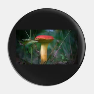 Red Capped Mushroom Pin